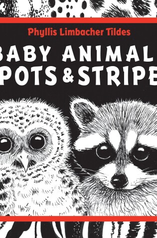 Cover of Baby Animals Spots & Stripes