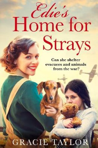 Cover of Edie’s Home for Strays