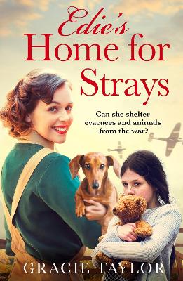 Cover of Edie’s Home for Strays