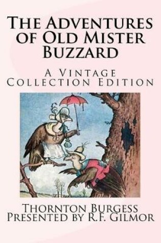 Cover of The Adventures of Old Mister Buzzard