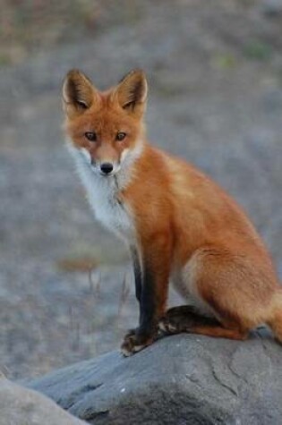 Cover of Red Fox on a Log Journal