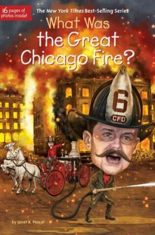 Cover of What Was The Great Chicago Fire?