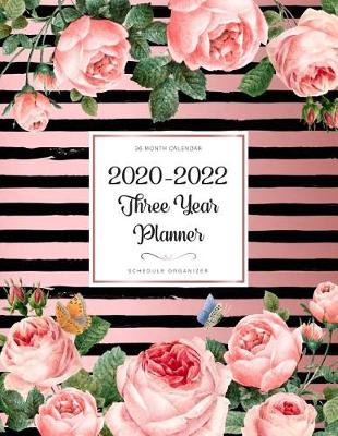 Book cover for Three Year Planner 2020-2022