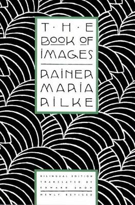 Book cover for The Book of Images