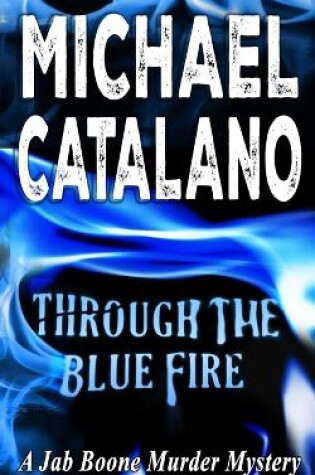 Cover of Through The Blue Fire (Book 20