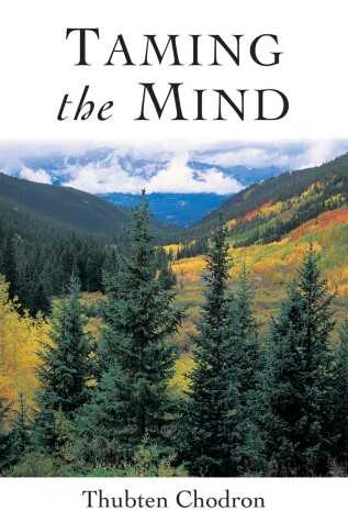 Book cover for Taming the Mind