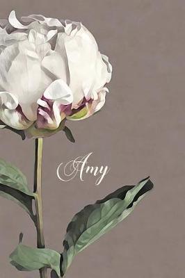 Book cover for Amy