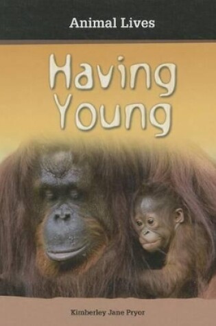 Cover of Us Having Young