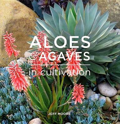 Book cover for Aloes and Agaves in Cultivation