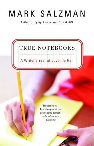 Book cover for True Notebooks