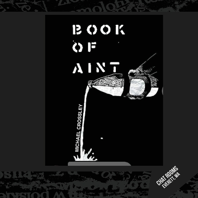 Book cover for The Book of Ain't