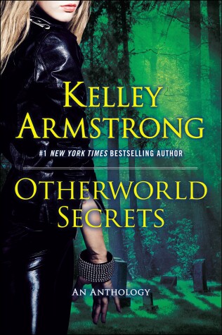 Book cover for Otherworld Secrets