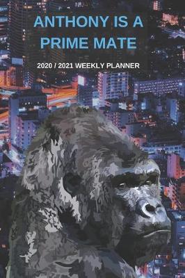 Book cover for 2020 / 2021 Two Year Weekly Planner For Anthony Name - Funny Gorilla Pun Appointment Book Gift - Two-Year Agenda Notebook