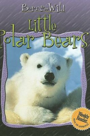 Cover of Little Polar Bears