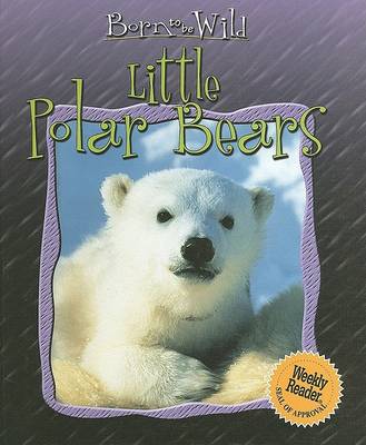 Cover of Little Polar Bears