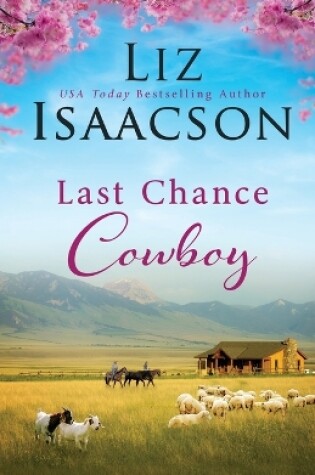 Cover of Last Chance Cowboy