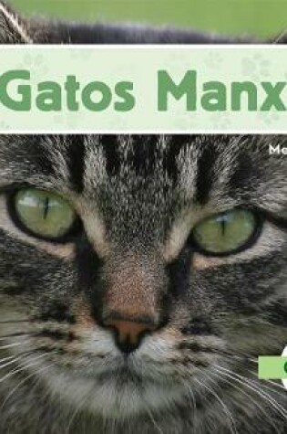 Cover of Gatos Manx (Manx Cats) (Spanish Version)