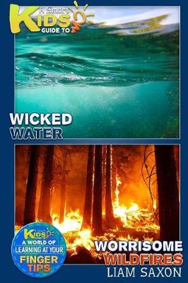 Book cover for A Smart Kids Guide to Wicked Water and Worrisome Wildfires
