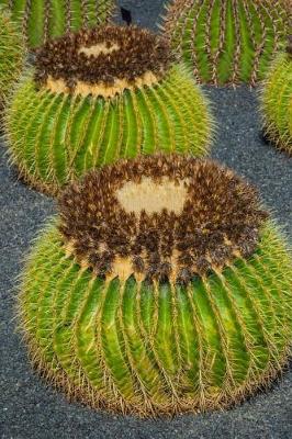 Book cover for Mammillaria Cactus Plants Succulent Journal