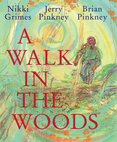 Book cover for A Walk in the Woods