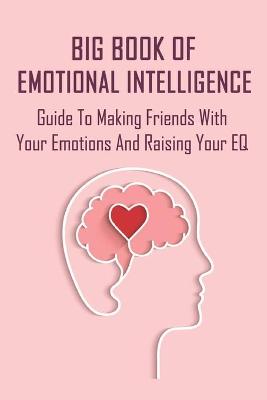 Cover of Big Book Of Emotional Intelligence