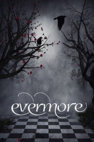 Cover of Evermore 4