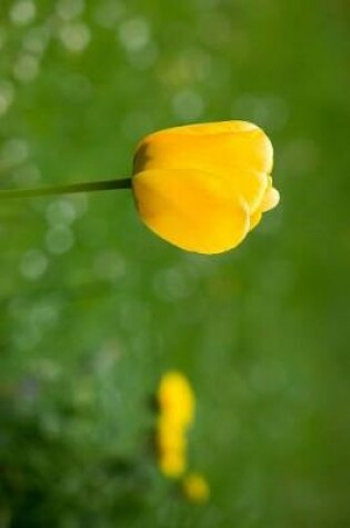 Cover of Single Yellow Tulip with Dandelions in the Background Journal