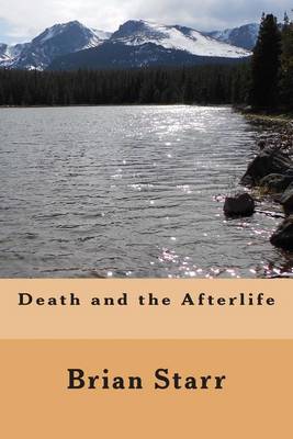 Book cover for Death and the Afterlife