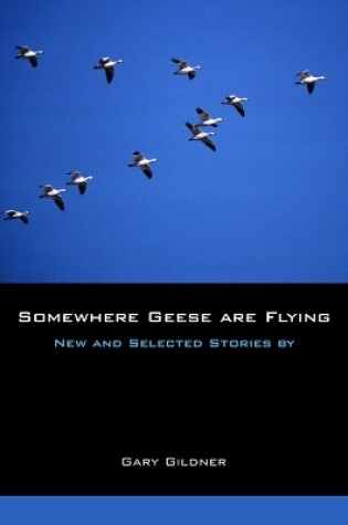 Cover of Somewhere Geese are Flying