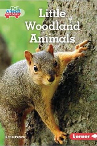 Cover of Little Woodland Animals