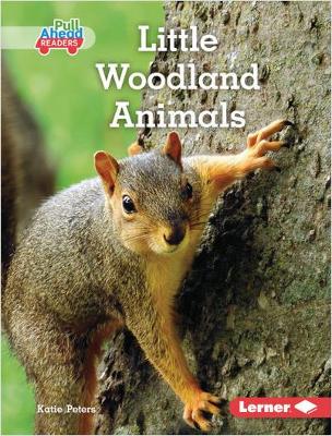 Cover of Little Woodland Animals