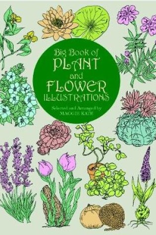 Cover of Big Book of Plant and Flower Illustrations