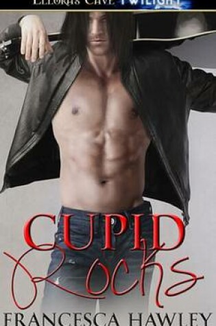Cover of Cupid Rocks