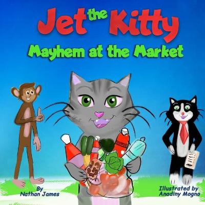 Book cover for Jet The Kitty