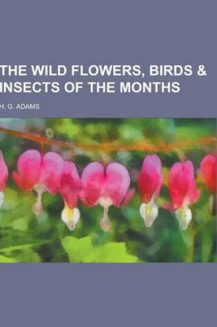 Cover of The Wild Flowers, Birds & Insects of the Months