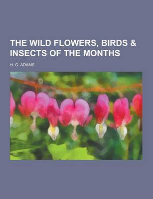 Book cover for The Wild Flowers, Birds & Insects of the Months