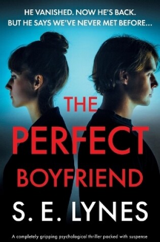 Cover of The Perfect Boyfriend