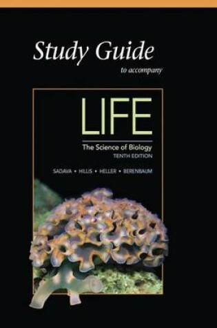 Cover of Study Guide for Life: The Science of Biology