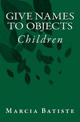 Book cover for Give Names to Objects