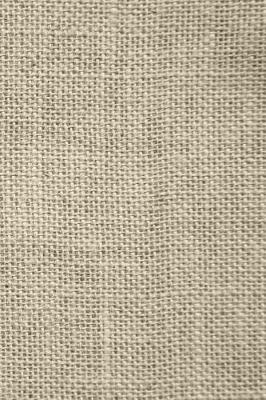 Cover of Light Color Burlap Faux Texture