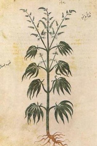 Cover of Cannabis Sativa from Vienna Dioscurides, 512 AD Illustration Journal