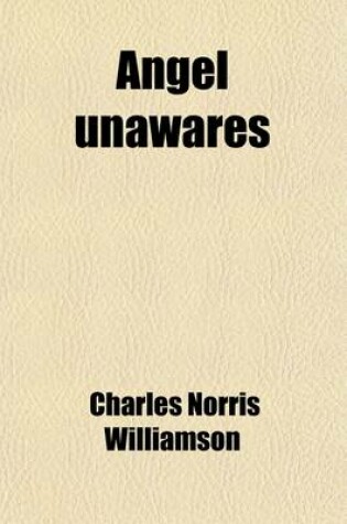 Cover of Angel Unawares; A Story of Christmas Eve
