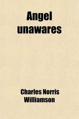 Book cover for Angel Unawares; A Story of Christmas Eve