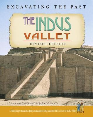 Book cover for Indus Valley (Excavating the Past)