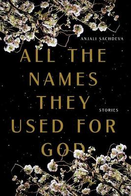 Book cover for All the Names They Used for God