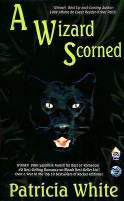 Book cover for A Wizard Scorned