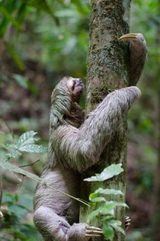 Cover of Sloth Climbing a Tree Animal Journal