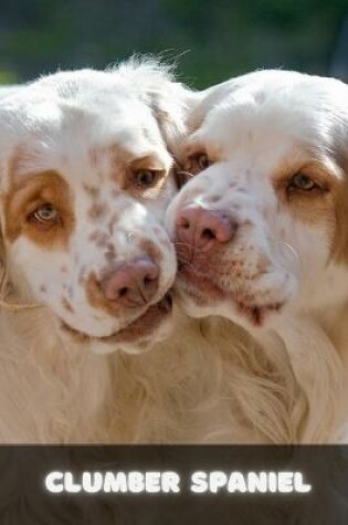 Cover of Clumber Spaniel