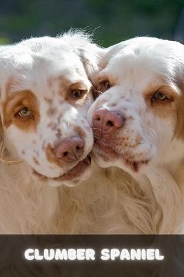 Book cover for Clumber Spaniel