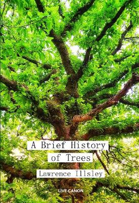 Book cover for A Brief History of Trees